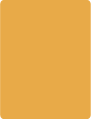 3289