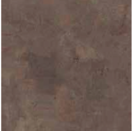 5629